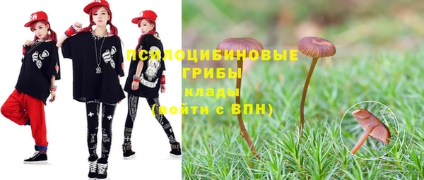 кокс Баксан