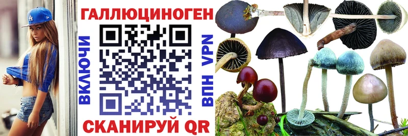 Купить  Ахтубинск  Галлюциногенные грибы Magic Shrooms 