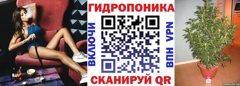 Купить где  Ахтубинск  Бошки Шишки сатива 